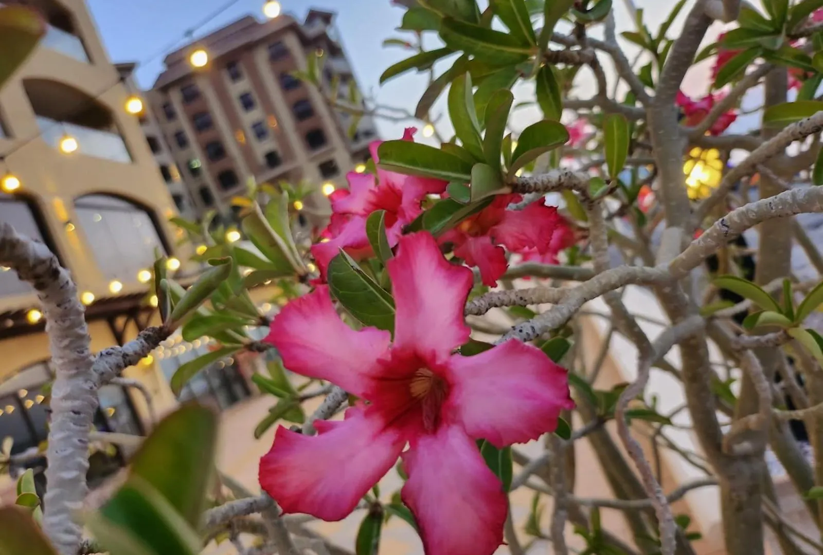 Marjan Island Beautiful Apartment Sea Side View Beach Luxury Rooms Ras Al Khaimah Uae Рас-эль-Хайма